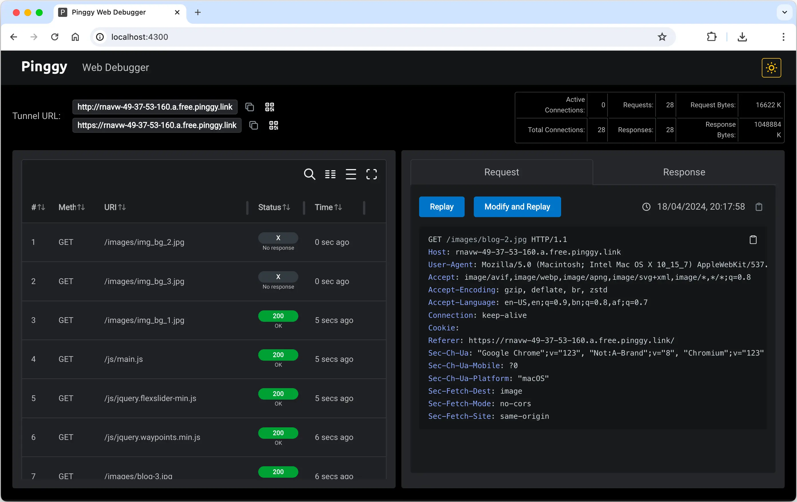 Pinggy web debugger screenshot