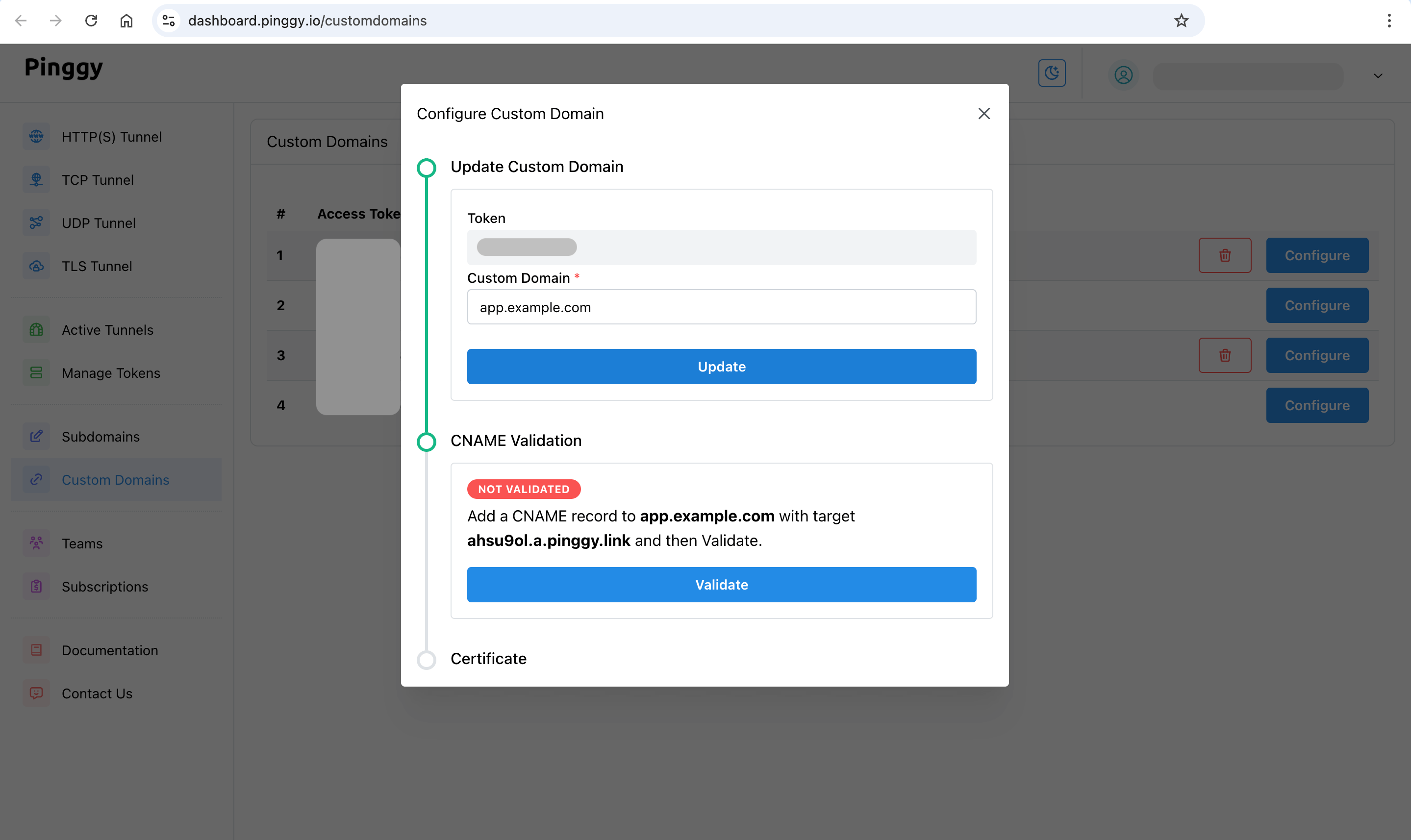 Configure custom domain and get cname record instructions - Pinggy